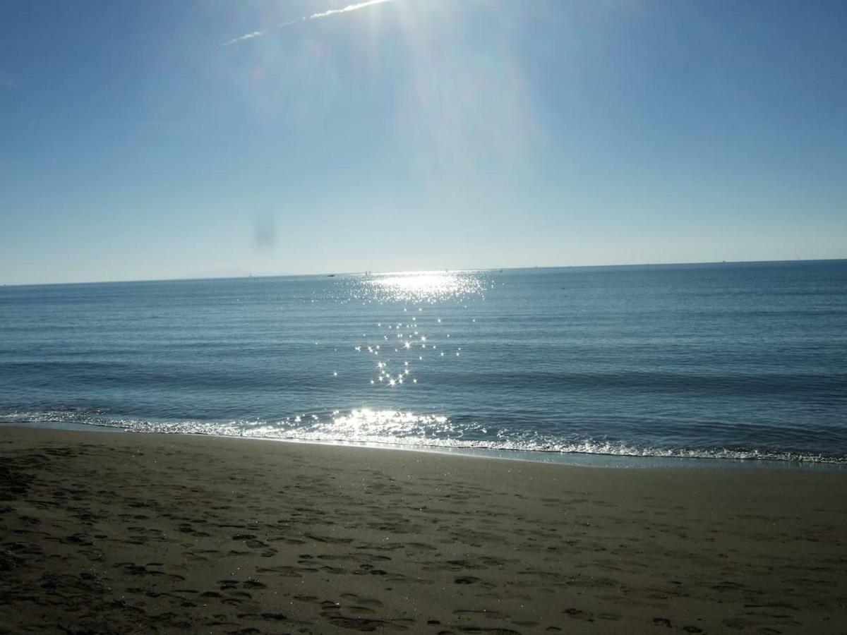 Bilocale A 40 Mt. Dalla Spiaggia Circondato Dalla Pineta Marina di Grosseto Extérieur photo